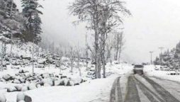 Peshawar weather update