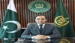 Freelancers to start receiving payments from PayPal in February: Minister