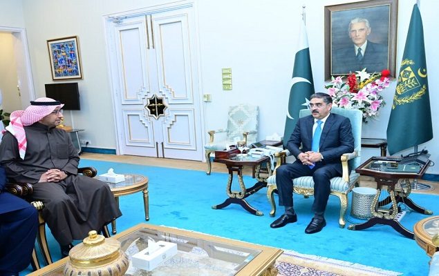 Vast investment opportunities in energy, IT sectors, says Kakar