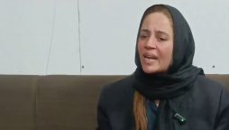 Zartaj Gul granted transit bail by PHC