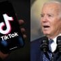 Biden Goes TikTok: Despite Government Account Ban