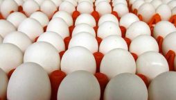 Egg Prices in Pakistan