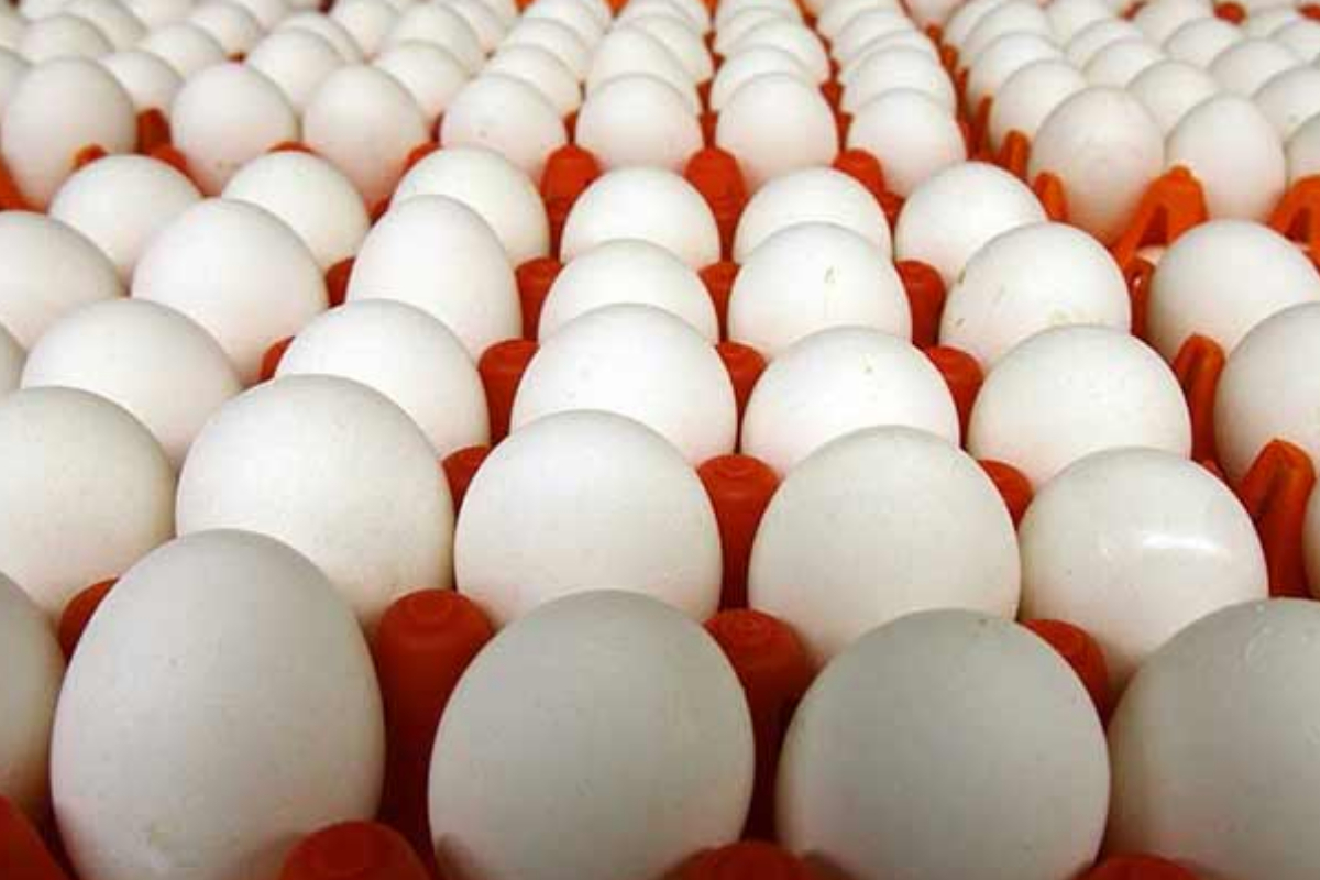 Egg prices Surge in Lahore; Check latest rates here