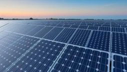 Free solar panels: Sindh energy minister announced distribution date