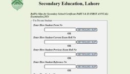 BISE Lahore Roll Number Slip for Class 10: Download Process for Regular and Private Students