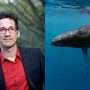 Scientists Decode Anatomy of Baleen Whale Songs