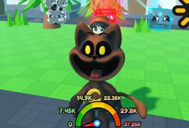 CatNap Race Codes for February 2024