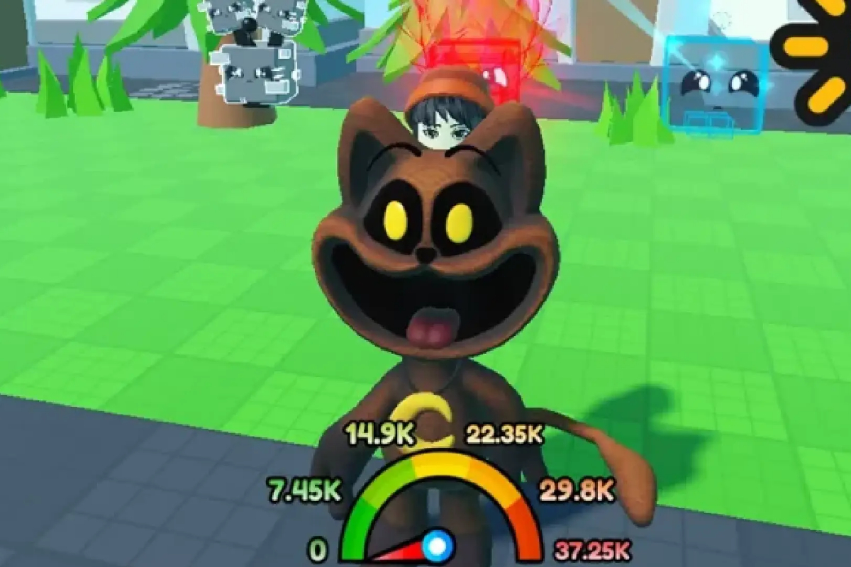 CatNap Race Codes for February 2024