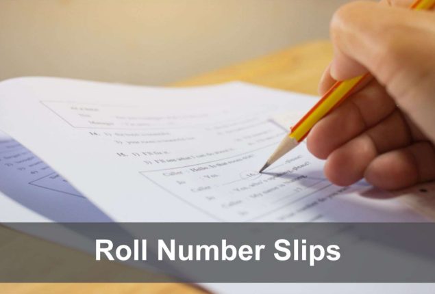 How to download Your Roll Number Slip for BISE Lahore Matric Exams 10th Class 2024