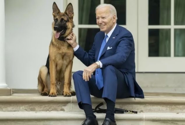 Biden’s Dog Bites: Commander Incidents Tally 24