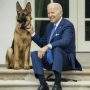 Biden's Dog Bites: Commander Incidents Tally 24