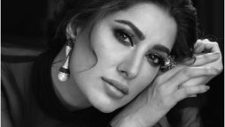 Mehwish Hayat