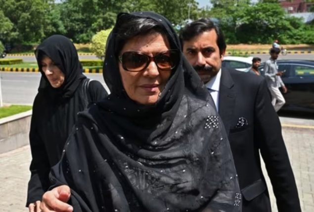 FIA summons Aleema Khan over cybercrime charges   