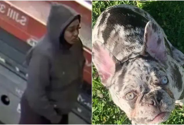 Dognapper Sadie Slater