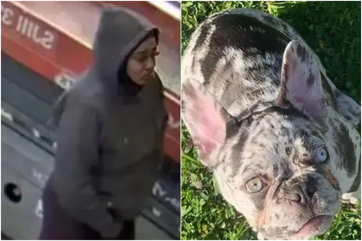 Dognapper Sadie Slater