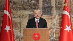 Erdogan claims that Turkey persists in mediation efforts between Russia and Ukraine