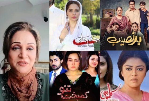 Bushra Ansari criticizes senseless titles of current dramas