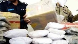 ANF arrests 13 accused, seizes 363 kg drugs