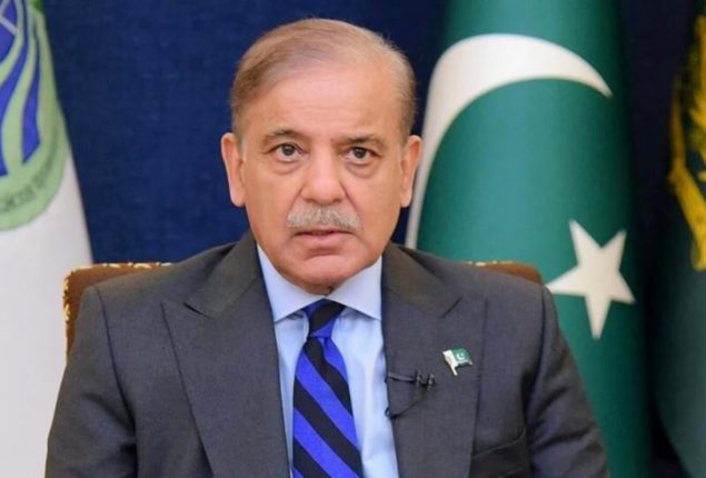Shehbaz Sharif calls for unity to steer country out of crises