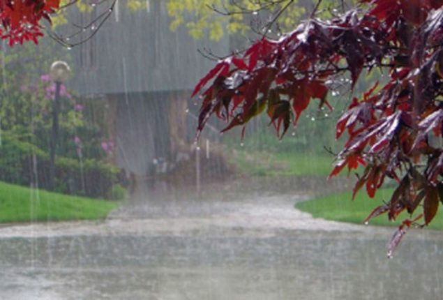 NDMA alerts authorities after rain, snowfall forecast