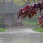 NDMA alerts authorities after rain, snowfall forecast  