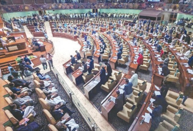 PTI-Backed SIC join independent members , take oath in SA