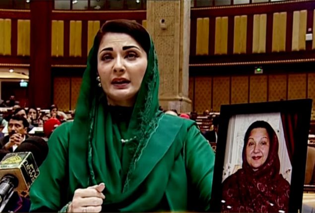 Maryam Nawaz elected as first woman chief minister of Punjab