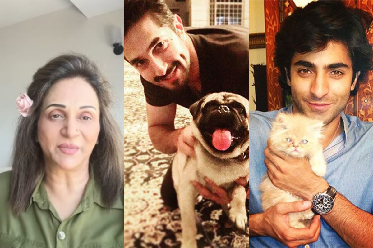 Bushra Ansari shares a message for pet lovers