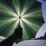 Scientists Propose Giant Sunshade for Climate Control