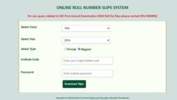 Download BISE Rawalpindi class 10 Roll Number Slip 2024 online