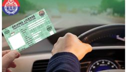 Punjab Driving License Online Services Simplify Process