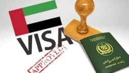 UAE work visa protector fee in Pakistan – February 2024