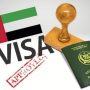 UAE work visa protector fee in Pakistan – February 2024