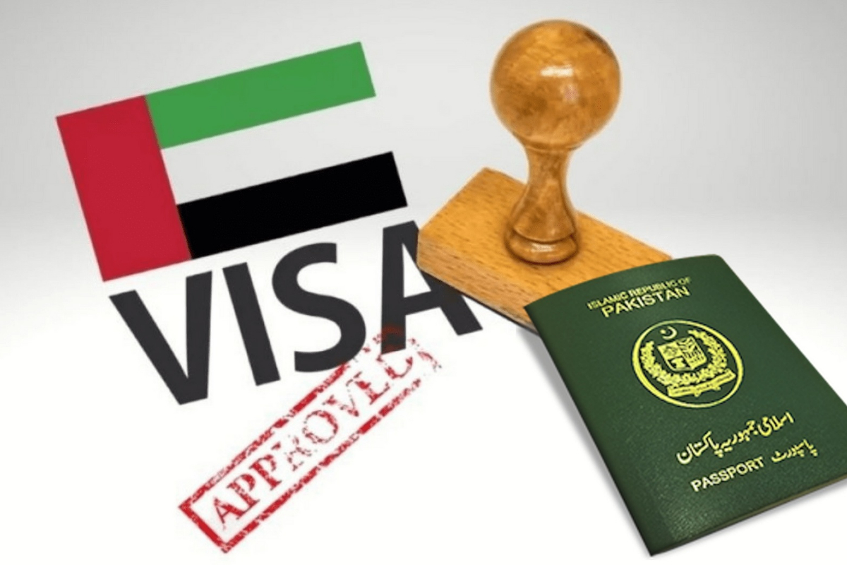 UAE work visa protector fee