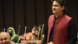 PHC grants transit bail to PTI leader Faisal Javed