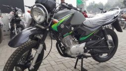 Yamaha YBR 125G Markhor-inspired sticker
