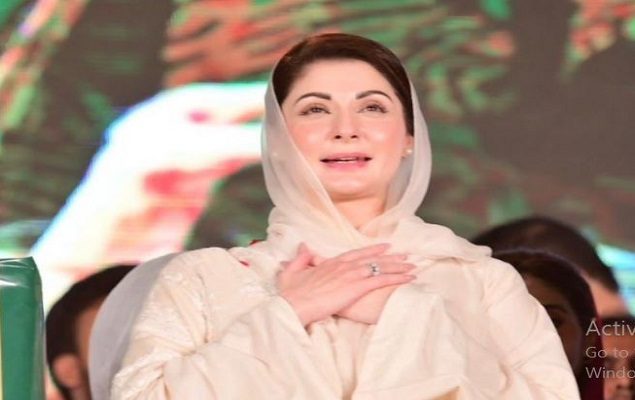 Six more independent candidates from Punjab join PML-N