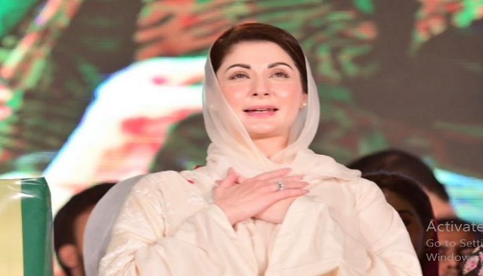 Six more independent candidates from Punjab join PML-N