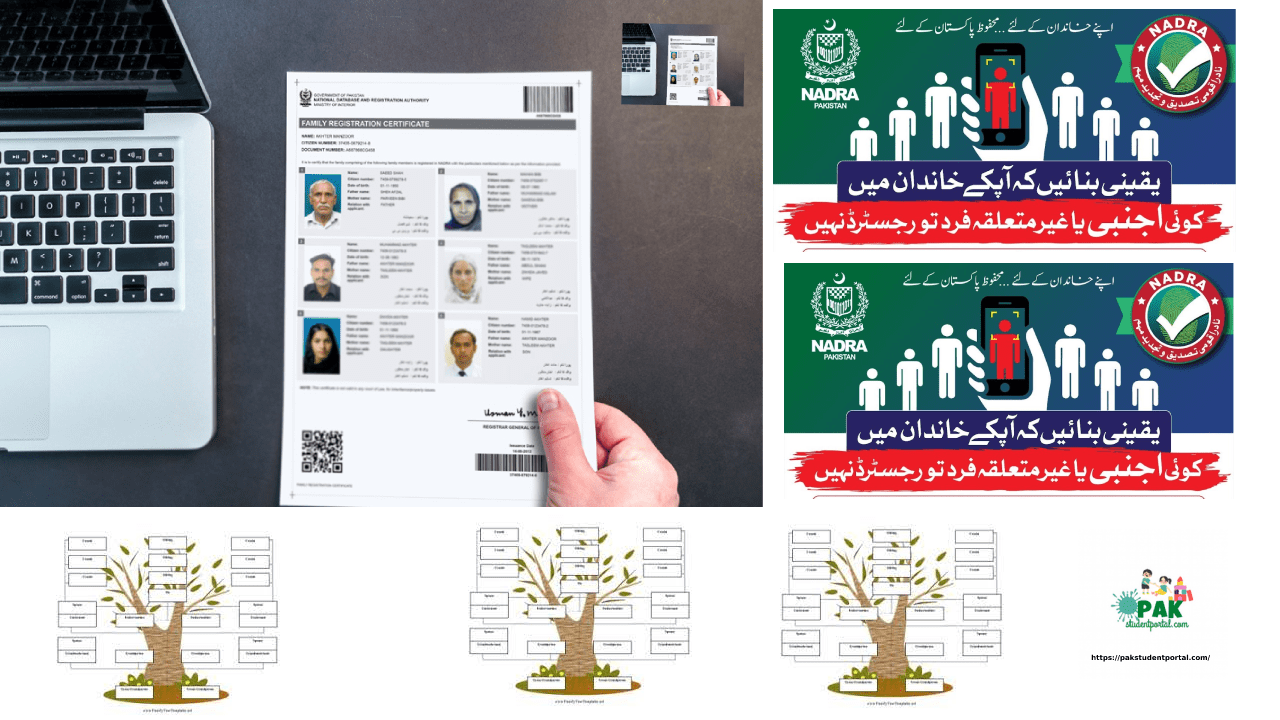NADRA FRC Online Application: Categories and Necessary Documents - Feb 2024