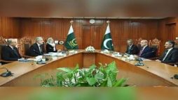 Commission to probe allegation of interference in judiciary affairs: Tarar