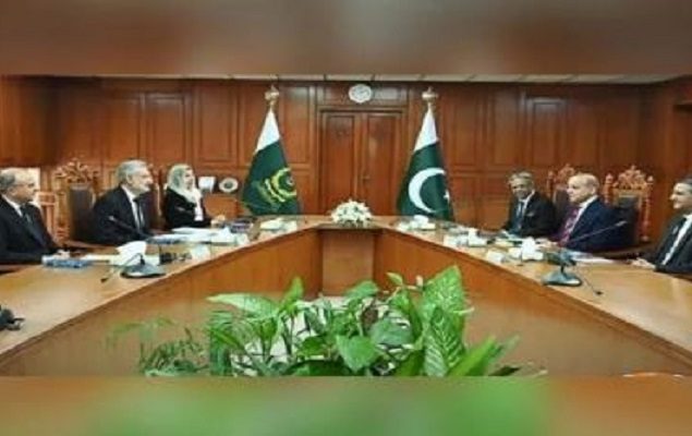 Commission to probe allegation of interference in judiciary affairs: Tarar