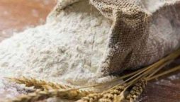 20 kg Flour bag price in Punjab