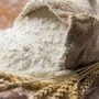 20 kg Flour bag price big drop in Punjab