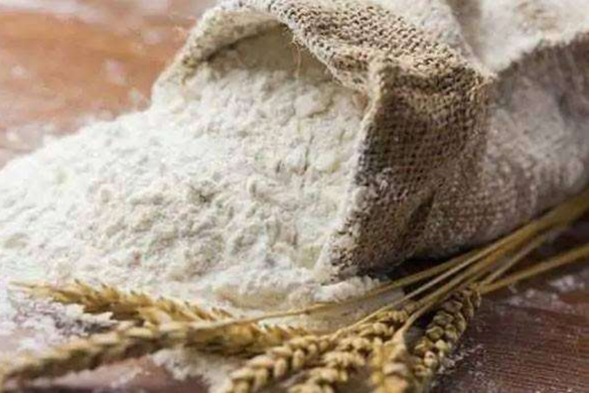 20 kg Flour bag price in Punjab