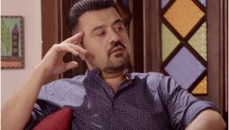 Ahmad Ali Butt Talks About Career Women and Housewives