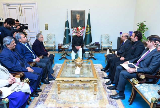 PPP delegation assures support to govt for economic stability 