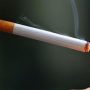 PIDE calls for uniformity in taxing cigarettes