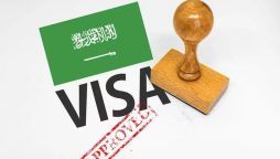 Saudi Arabia Study Visa Program, Unveils Opportunities for International Students