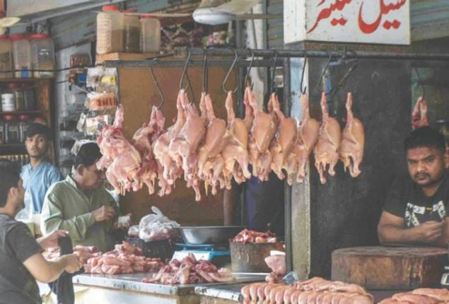 Today Chicken Rate in Pakistan