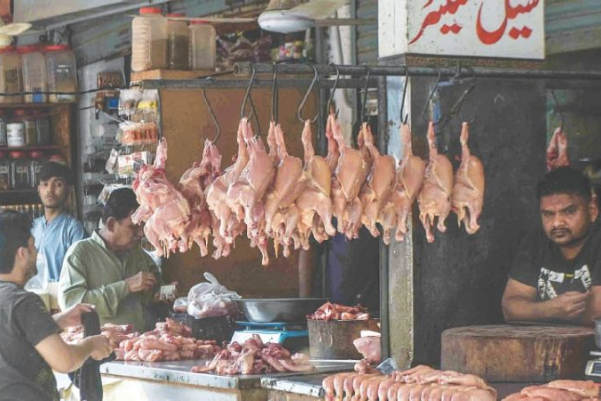 Chicken meat price increases in Pakistan; Check latest rates here